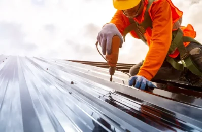 Travaux de zinguerie à Saint-Martin-d'Arberoue